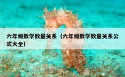 六年级数学数量关系（六年级数学数量关系公式大全）