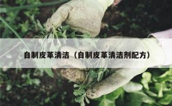 自制皮革清洁（自制皮革清洁剂配方）