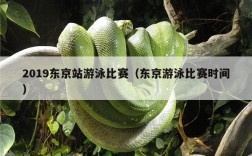 2019东京站游泳比赛（东京游泳比赛时间）