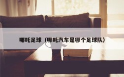 哪吒足球（哪吒汽车是哪个足球队）