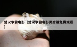 楚汉争霸电影（楚汉争霸电影吴彦祖免费观看）