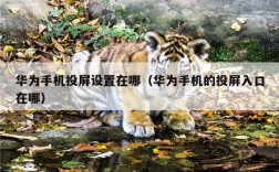 华为手机投屏设置在哪（华为手机的投屏入口在哪）
