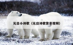 元日小诗歌（元日诗歌背景视频）