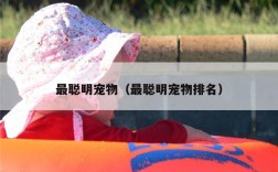最聪明宠物（最聪明宠物排名）