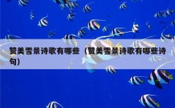 赞美雪景诗歌有哪些（赞美雪景诗歌有哪些诗句）