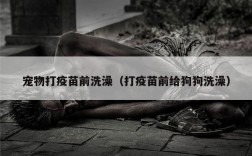 宠物打疫苗前洗澡（打疫苗前给狗狗洗澡）