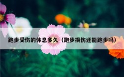 跑步受伤的休息多久（跑步损伤还能跑步吗）