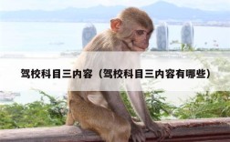 驾校科目三内容（驾校科目三内容有哪些）