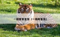 一线背景音乐（一线听音乐）