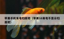 苹果手机来电归属地（苹果16来电不显示归属地）
