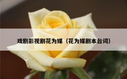 戏剧影视剧花为媒（花为媒剧本台词）
