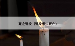 死之驾校（驾校考生死亡）