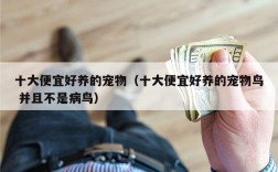 十大便宜好养的宠物（十大便宜好养的宠物鸟 并且不是病鸟）