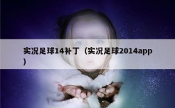 实况足球14补丁（实况足球2014app）