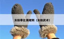 太极拳比赛规则（太极武术）