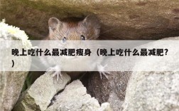 晚上吃什么最减肥瘦身（晚上吃什么最减肥?）
