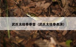 武氏太极拳拳普（武氏太极拳表演）